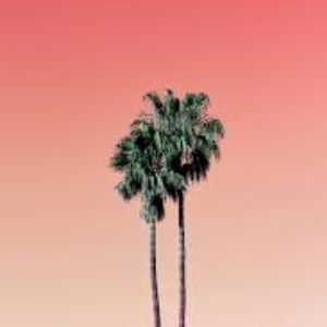 Meet your Posher, Danica